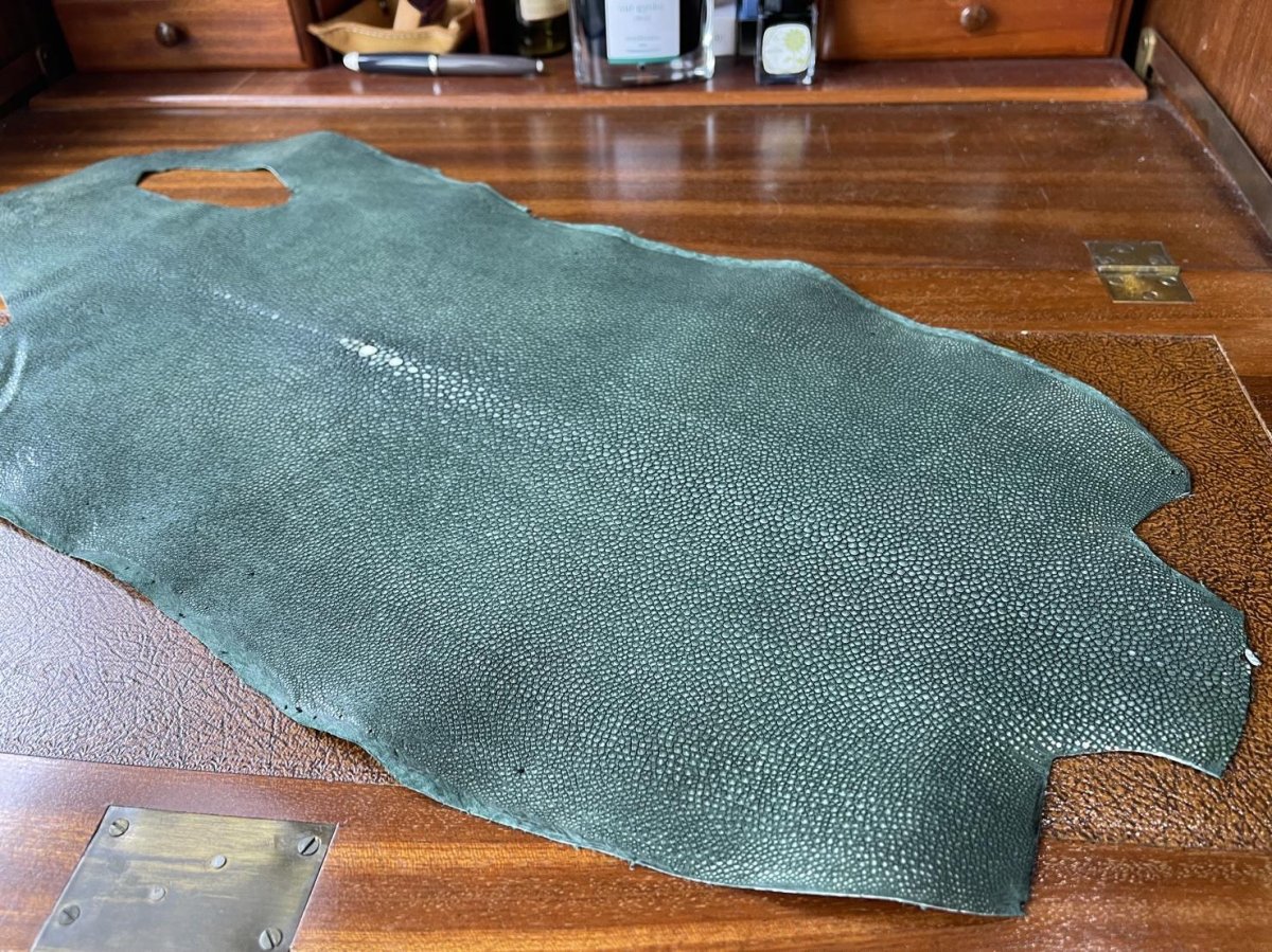 エイ革ダークグリーン