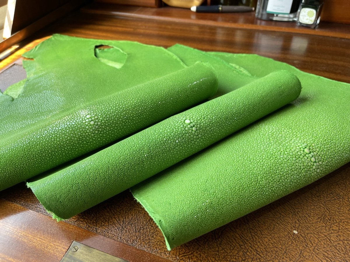 エイ革グリーンイエロー