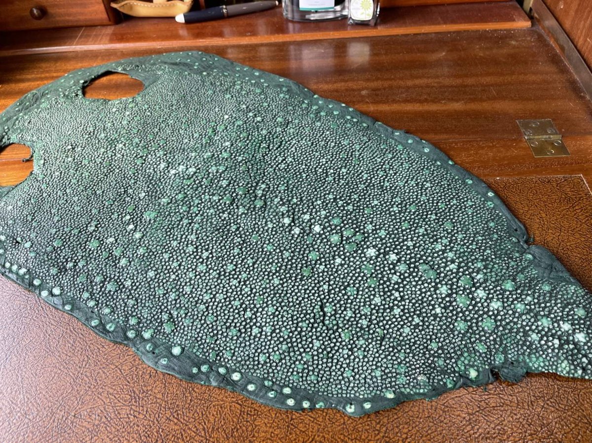 カイラギグリーン