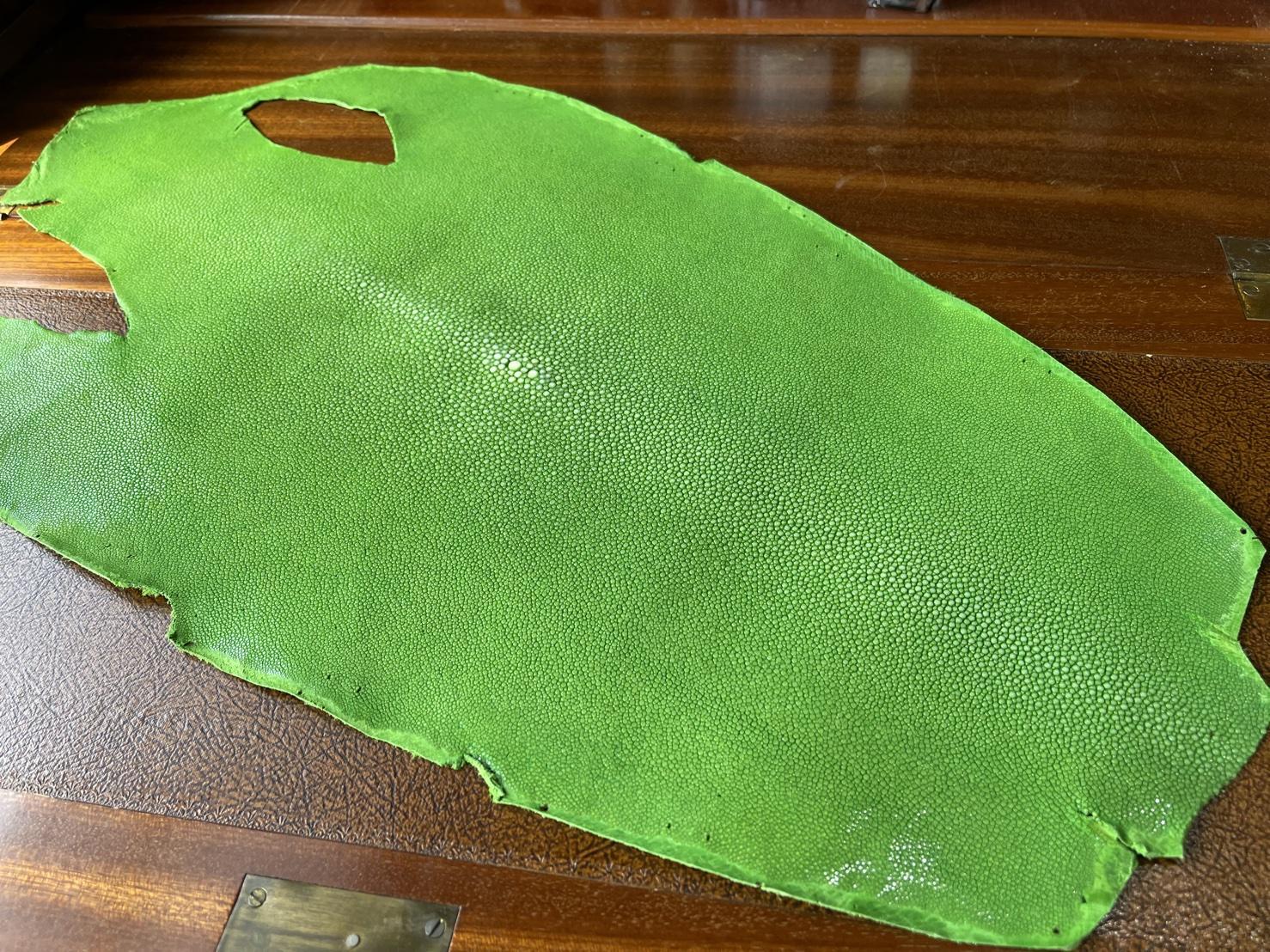 ガルーシャ グリーンイエローA